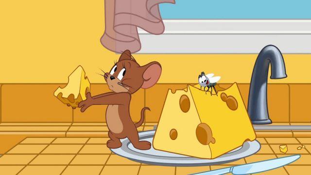 Tahu Gak Kenapa Keju di Tom and Jerry Berlubang? Ini Penjelasan Ilmiahnya!