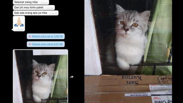 10 Nama Penerima Paket Nyeleneh saat Gak Ada Orang di Rumah, Ngakak!