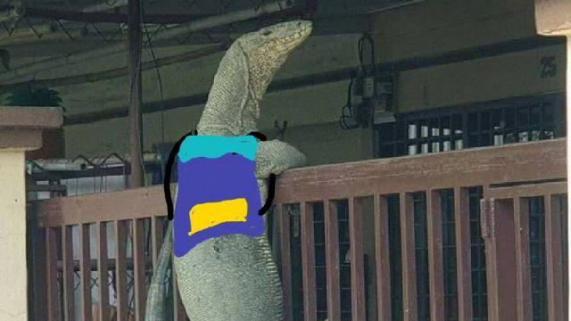 Sempat Viral, Ini 11 Meme Biawak Bertamu ke Rumah Orang yang Bikin Ngakak!
