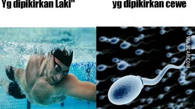 Lagi Panas! Meme "Berenang Bisa Hamil" Ini Dijamin Bikin Ngakak Sekelurahan