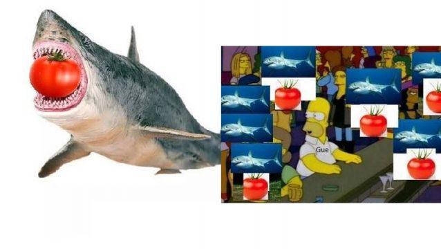 Kumpulan Meme Ikan Hiu Makan Tomat yang Bikin Kamu Gak Berhenti Ketawa