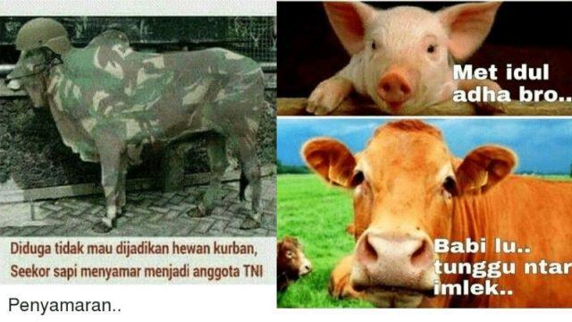 10 Meme Kocak Perasaan Sapi Saat Idul Adha Ini Bakalan Bikin Kamu Kasian Tapi Ngakak!
