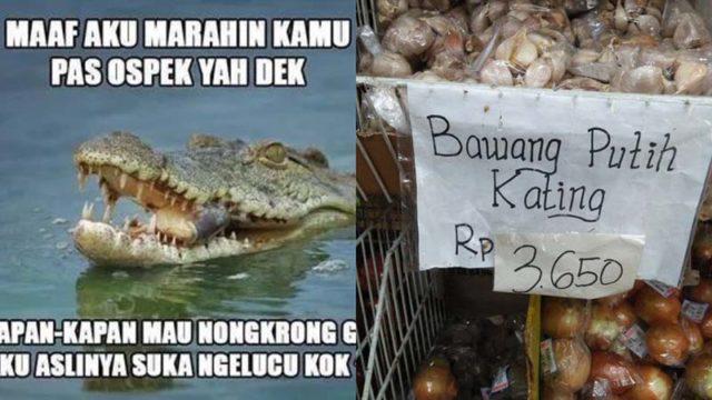 10 Meme Lucu Ospek Mahasiswa 2022 yang Menggelitik