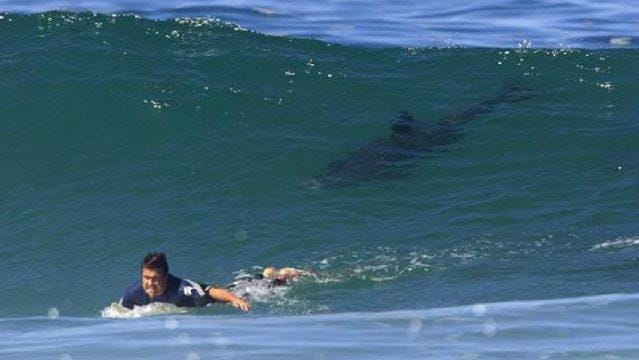 10 Pantai Paling Berbahaya yang Ada di Dunia, Bisa Bikin Nyawa Melayang