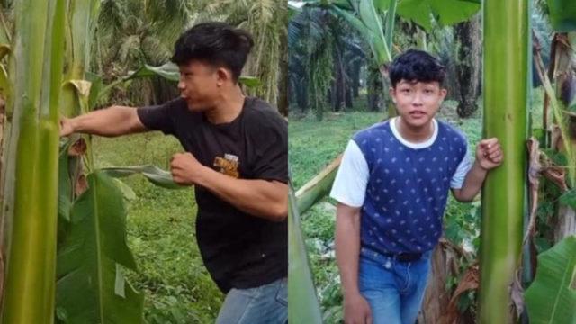 Salam Dari Binjai Bikin Kebun Pisang Hancur, Ini Kata Paris Pernandes