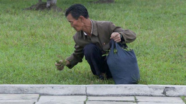 Akhirnya Terkuak! 12 Foto 'Ilegal' Ini Bocorkan Kehidupan di Korea Utara yang Sesungguhnya