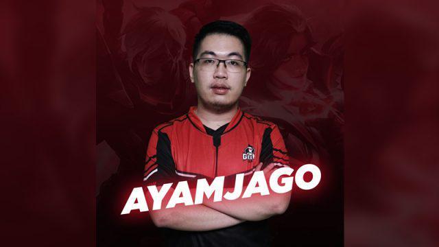 Profil AyamJago: Belajar dari Kesalahan Season ini untuk Hadapi Season Depan!