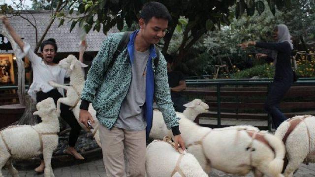 10 Foto Janggal yang Sukses Bikin Ngakak saat Dilihat dari Dekat, Kocak Abis!