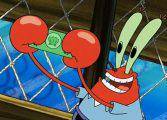 spongyandpatty.weebly.com