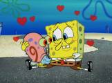 spongebob.wikia.com