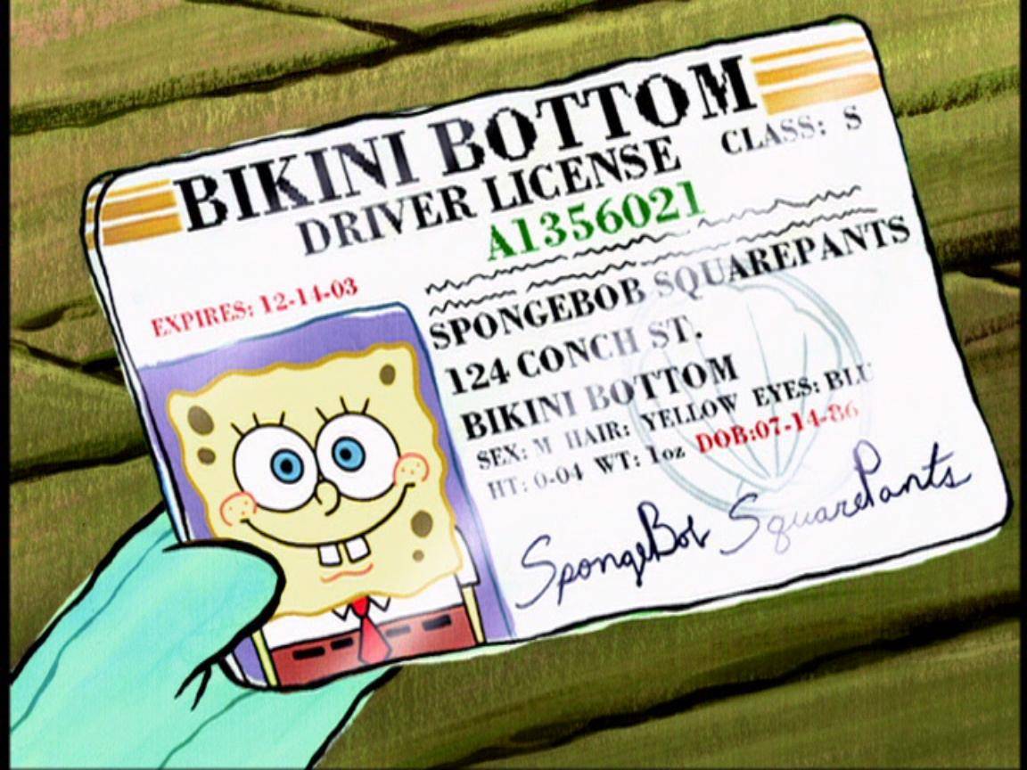 spongebob.wikia.com