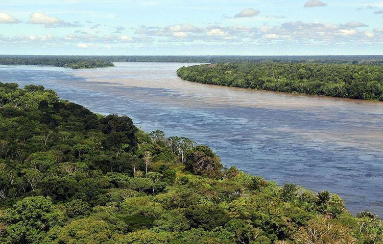 rainforestcruises.com