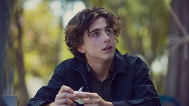 Timothee Chalamet Diprediksi Akan Pecahkan Rekor Oscar 2022