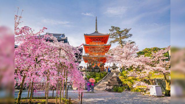 Traveling ke Kyoto Jepang? Nih 7 Rekomendasi Tempat Wisata yang Harus Kalian Cobain