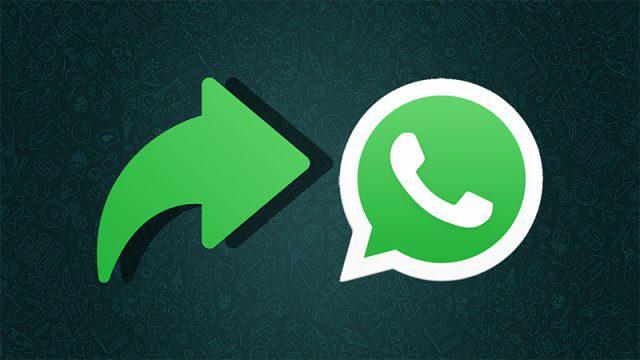 WhatsApp Sering Pending? Ini 6 Cara Mudah untuk Mengatasinya!