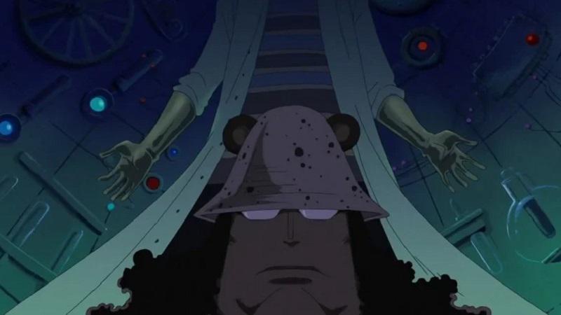 Organisasi mengerikan di one piece