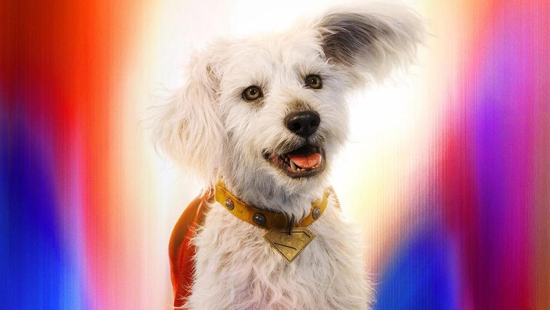 7 Fakta Menarik Krypto di Superman (2025)