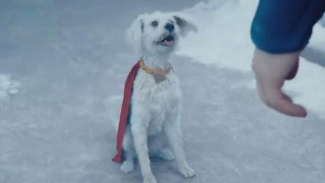 krypto superman 07.jpg