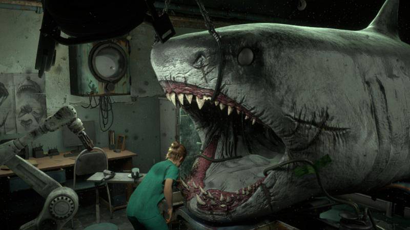 tips main shark dentist