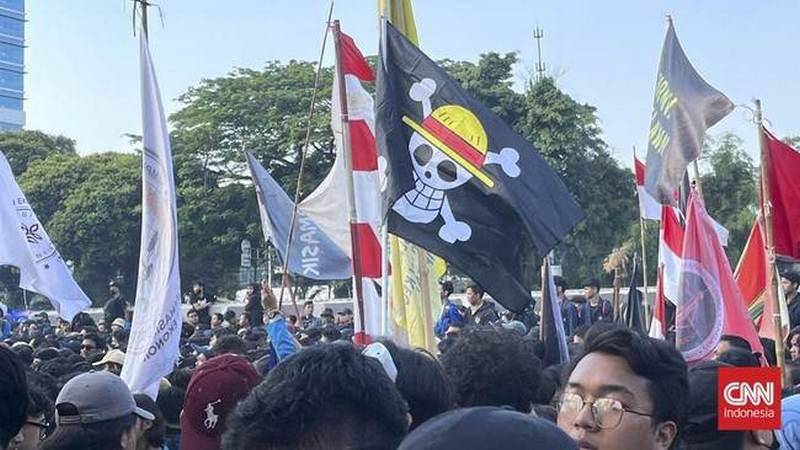 bendera bajak laut topi jerami (cnnindonesia.com).jpg