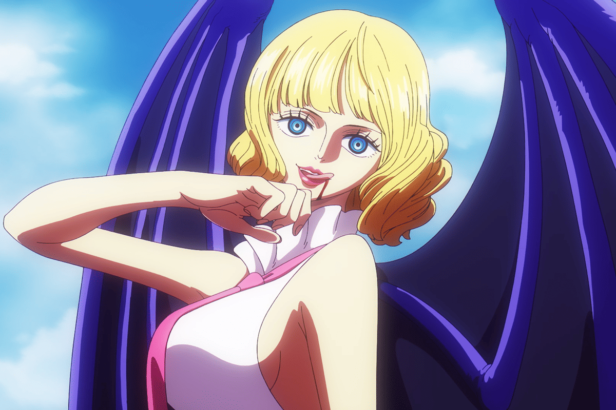 Stussy (dok. Toei Animation/One Piece)