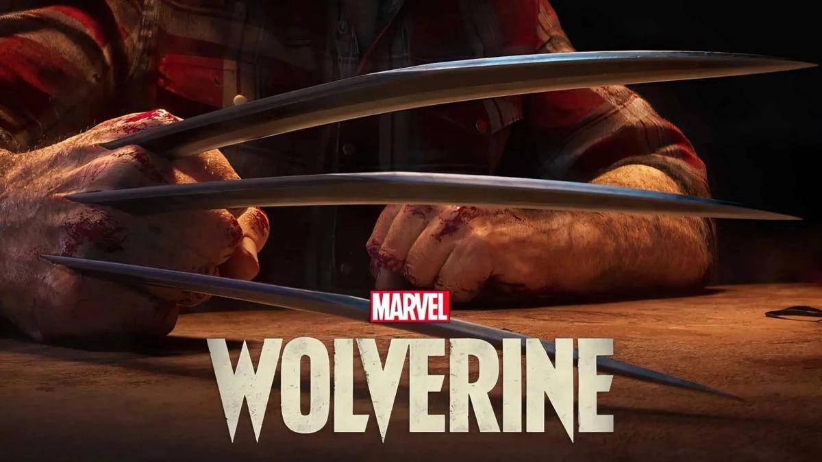 wolverine 2.jpg