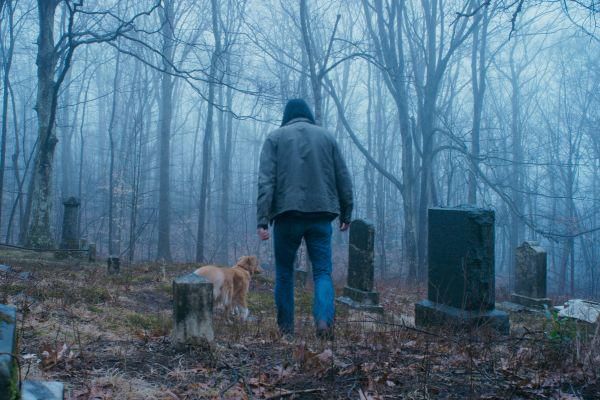 6 Fakta Good Boy, Film Horor Unik dari Perspektif Anjing