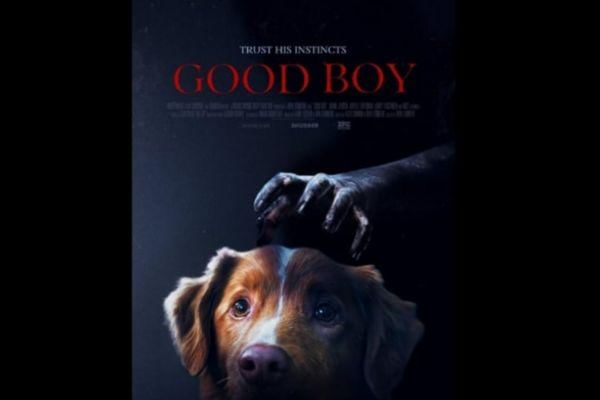6 Fakta Good Boy, Film Horor Unik dari Perspektif Anjing