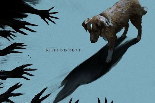6 Fakta Good Boy, Film Horor Unik dari Perspektif Anjing