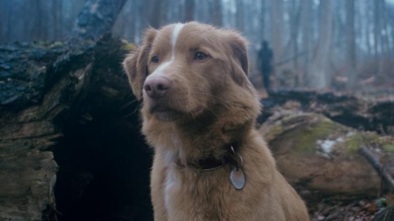 Kekuatan Emosional di Balik Cerita Horor (screenrant.com)