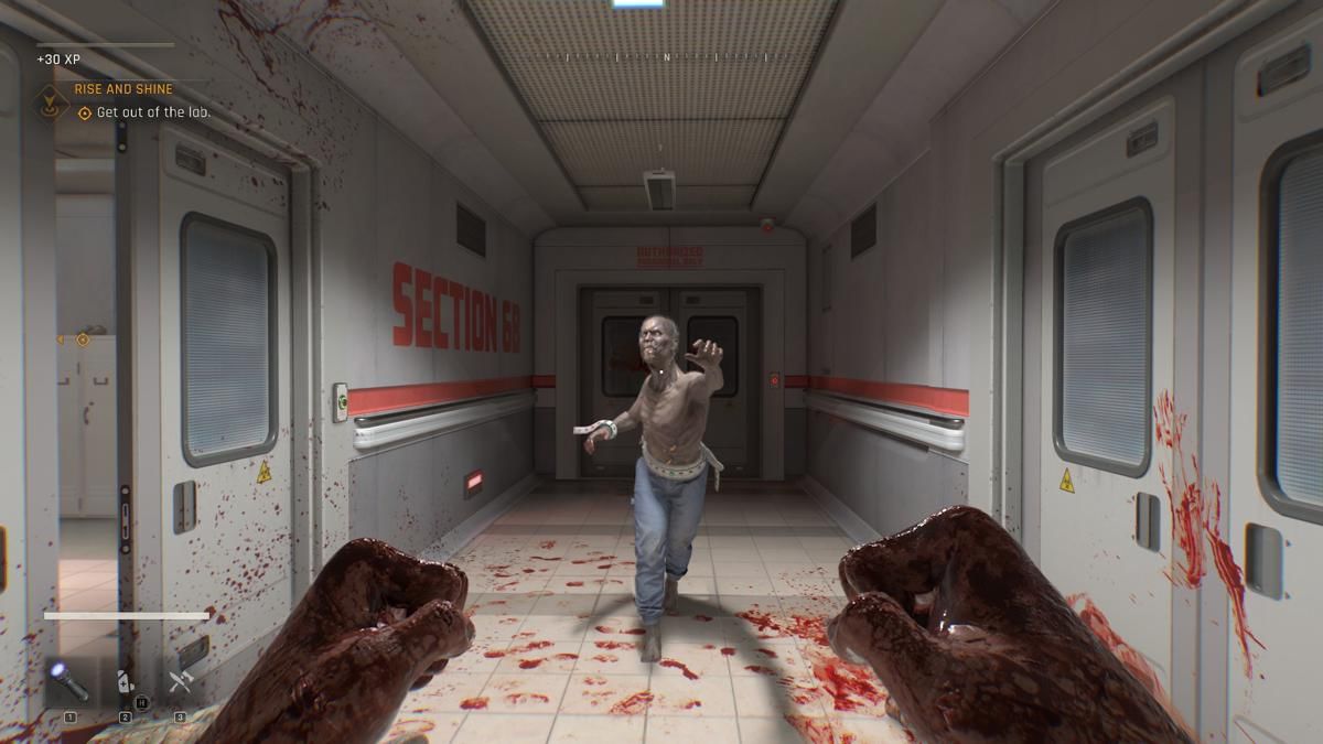 Dying Light The Beast 1.jpg
