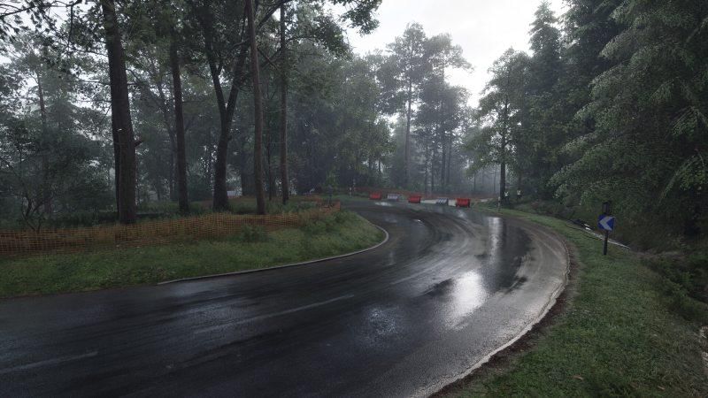 Trek balap yang terlihat realistis (steam/assetto corsa rally)