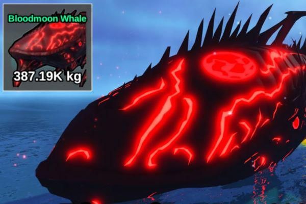 Whale Bloodmoon Fish It Roblox