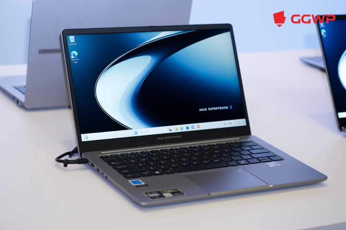 ASUS ExpertBook PM3 (Dok. GGWP)