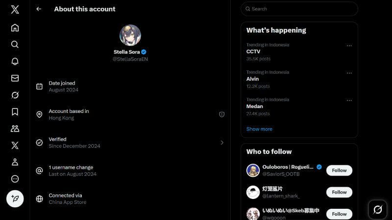 asal negara akun x twitter - contoh.jpg