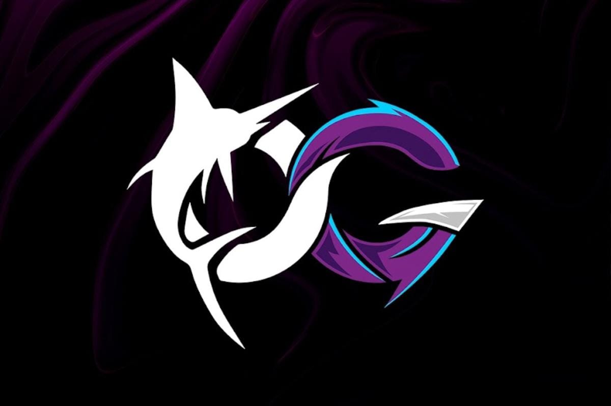 Esports Todak berasal dari komunitas Todak Gaming. (Dok. Todak)