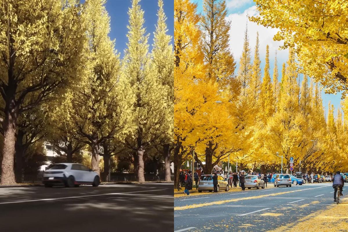 Ginkgo Avenue (Berbagai sumber)