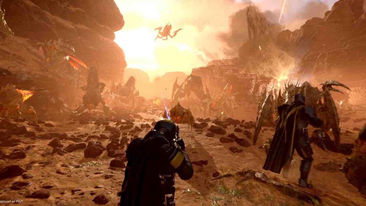 gamer helldivers 2 kena doxxing - screenshot steam.jpg