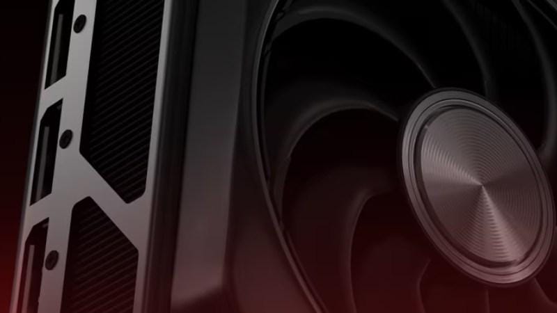 nvidia populer - amd.jpg