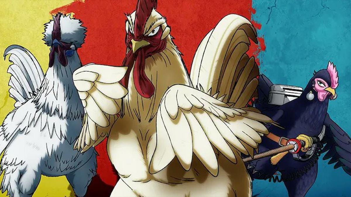 7 Fakta Keiji Sang Ayam Pejantan Tangguh Rooster Fighter