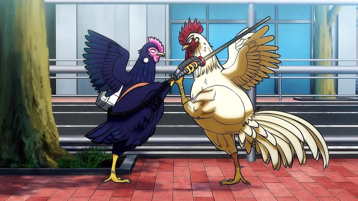 rooster fighter 02.jpg
