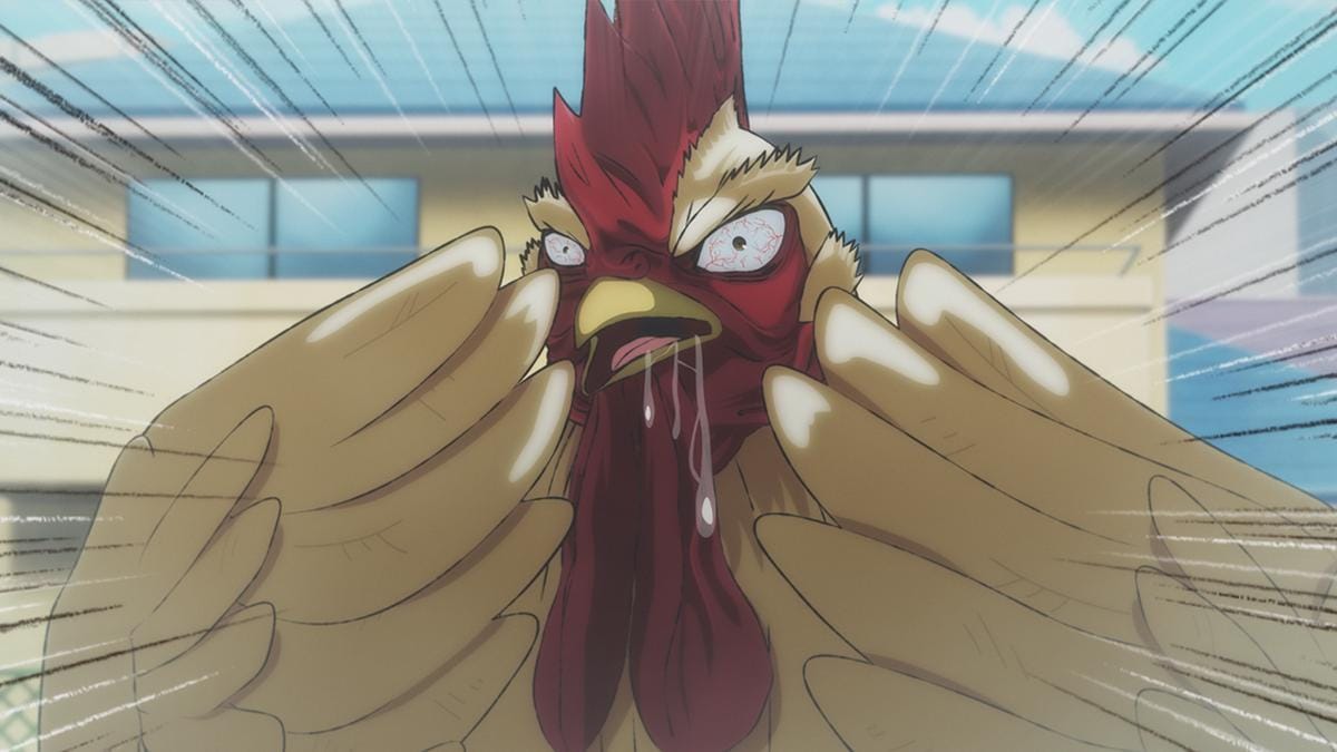 keiji rooster fighter 05.jpg