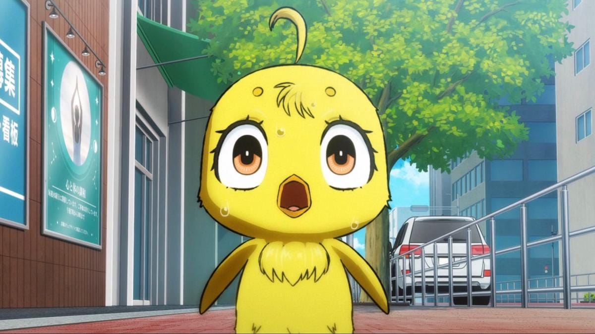 Piyoko Rooster Fighter