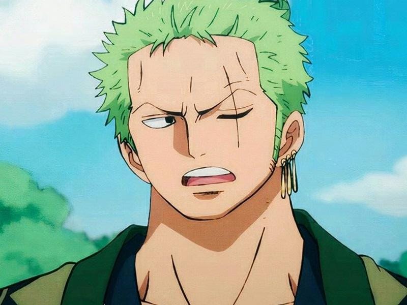 zoro pinterest.jpg