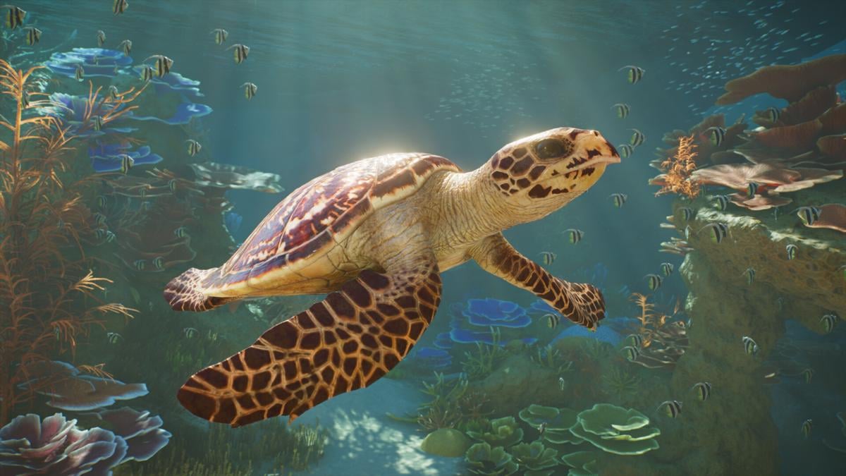 Planet Zoo 2.jpg